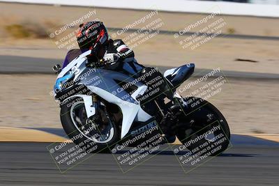 media/Jan-08-2022-SoCal Trackdays (Sat) [[1ec2777125]]/Turn 14 Outside (1050am)/